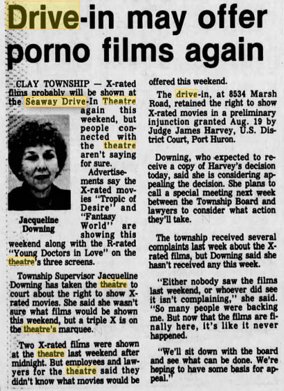 Seaway Drive-In Theatre - Aug 27 1982 Article (newer photo)